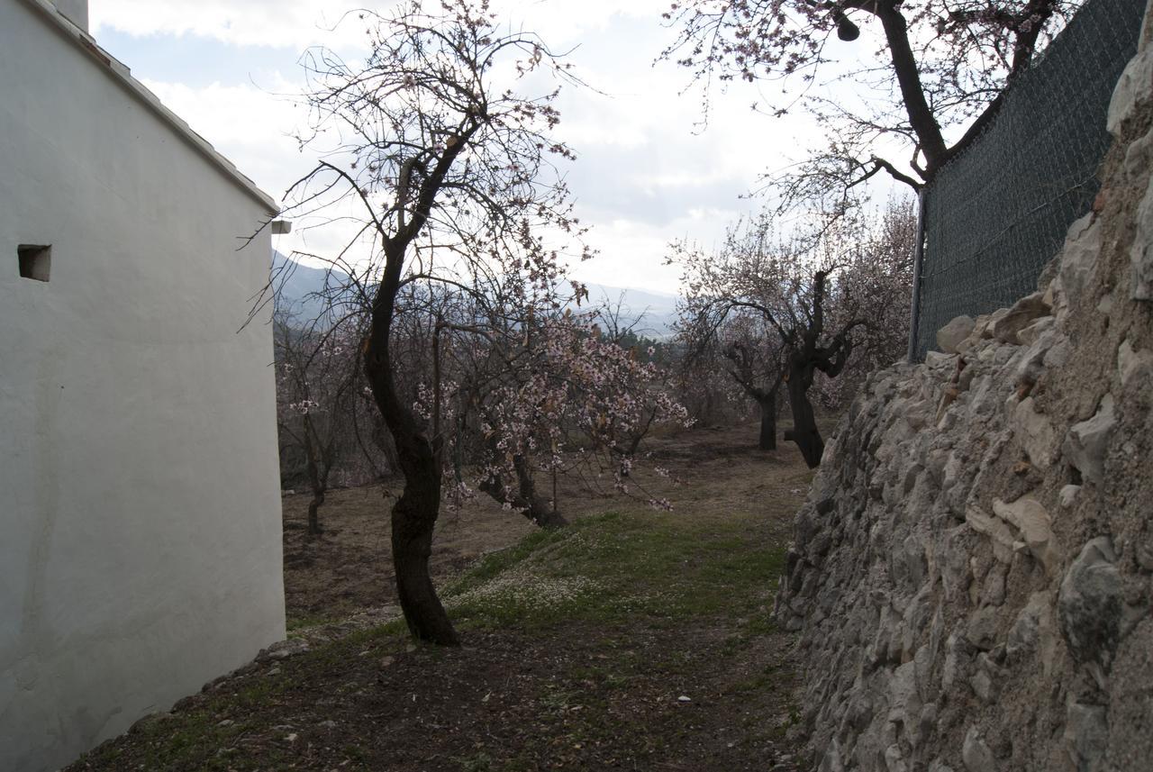 Hotel Rural Valhalla Benimassot Zewnętrze zdjęcie
